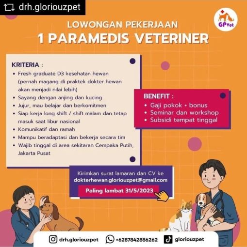 [Lowongan Kerja] Paramedis Veteriner – Gloriuz Pet – teknologiveteriner